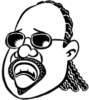 stevie wonder