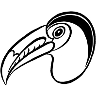 toucan