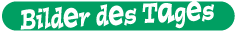 Bilder des Tages
